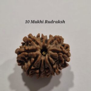 10 Mukhi